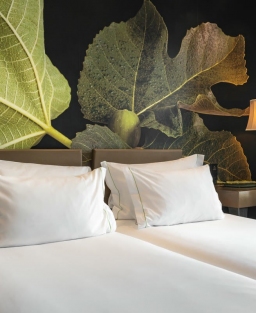 Figueira by The Beautique Hotels